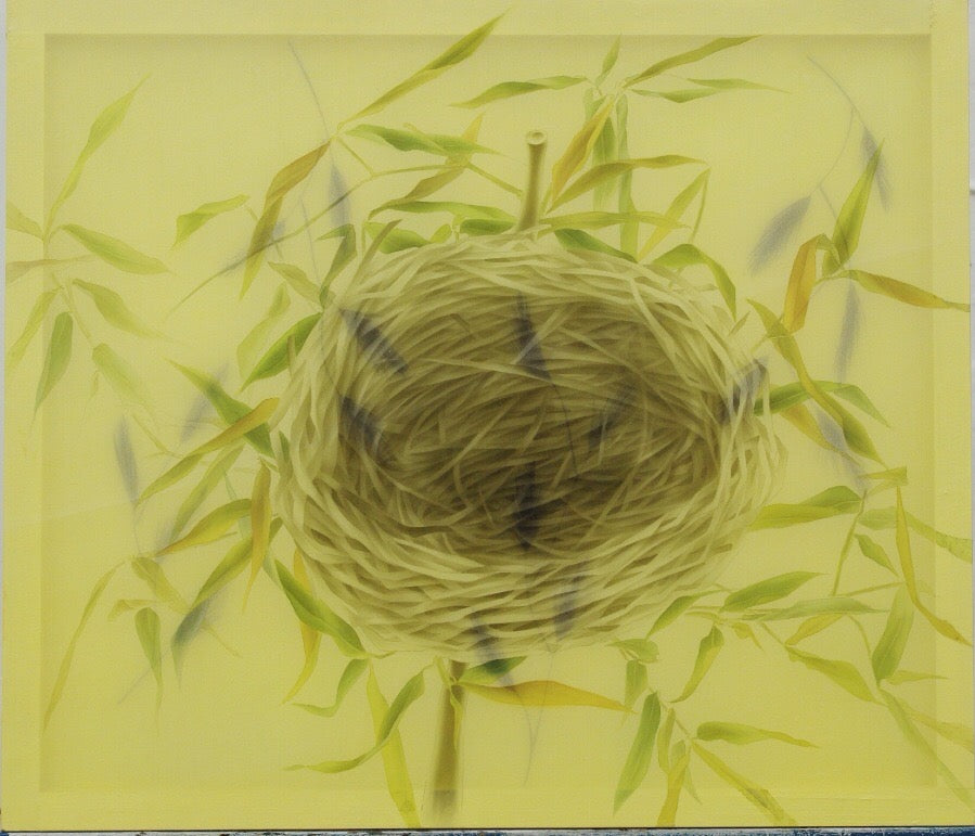 Sự kết nối
