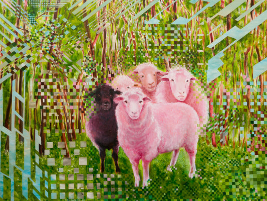 Des moutons heureux