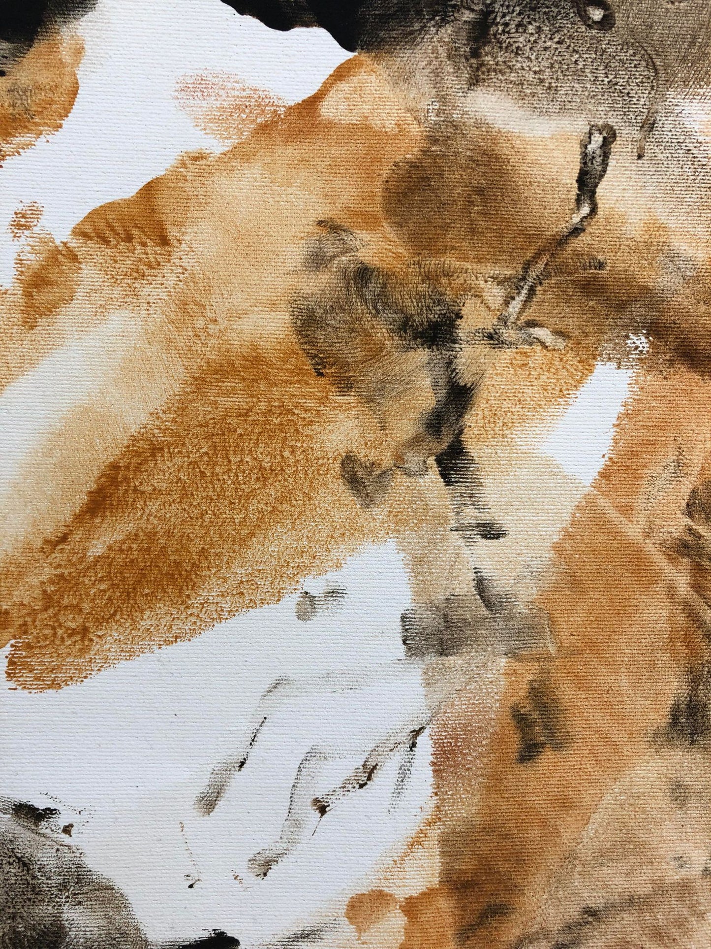 极地虚空
