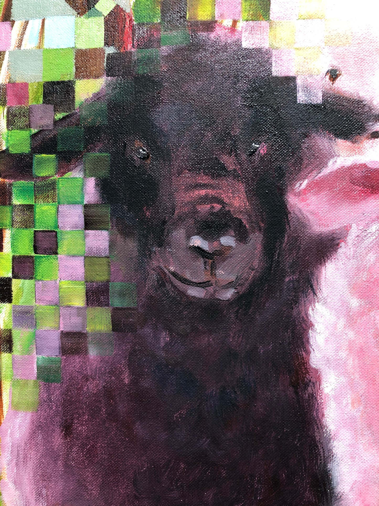 Des moutons heureux
