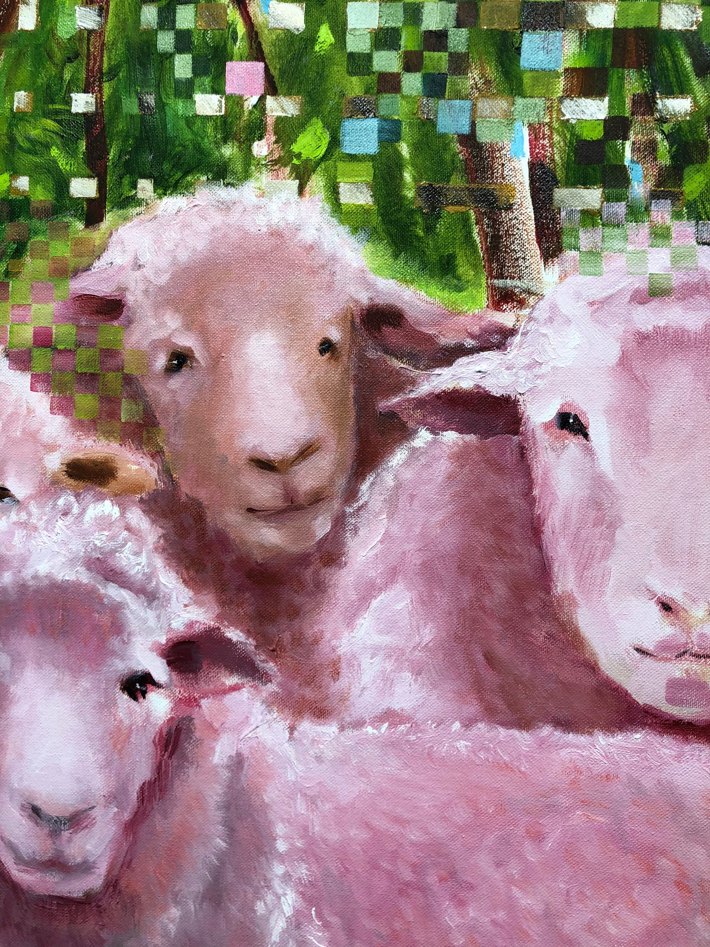 Des moutons heureux