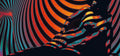 Hypnotic Moiré