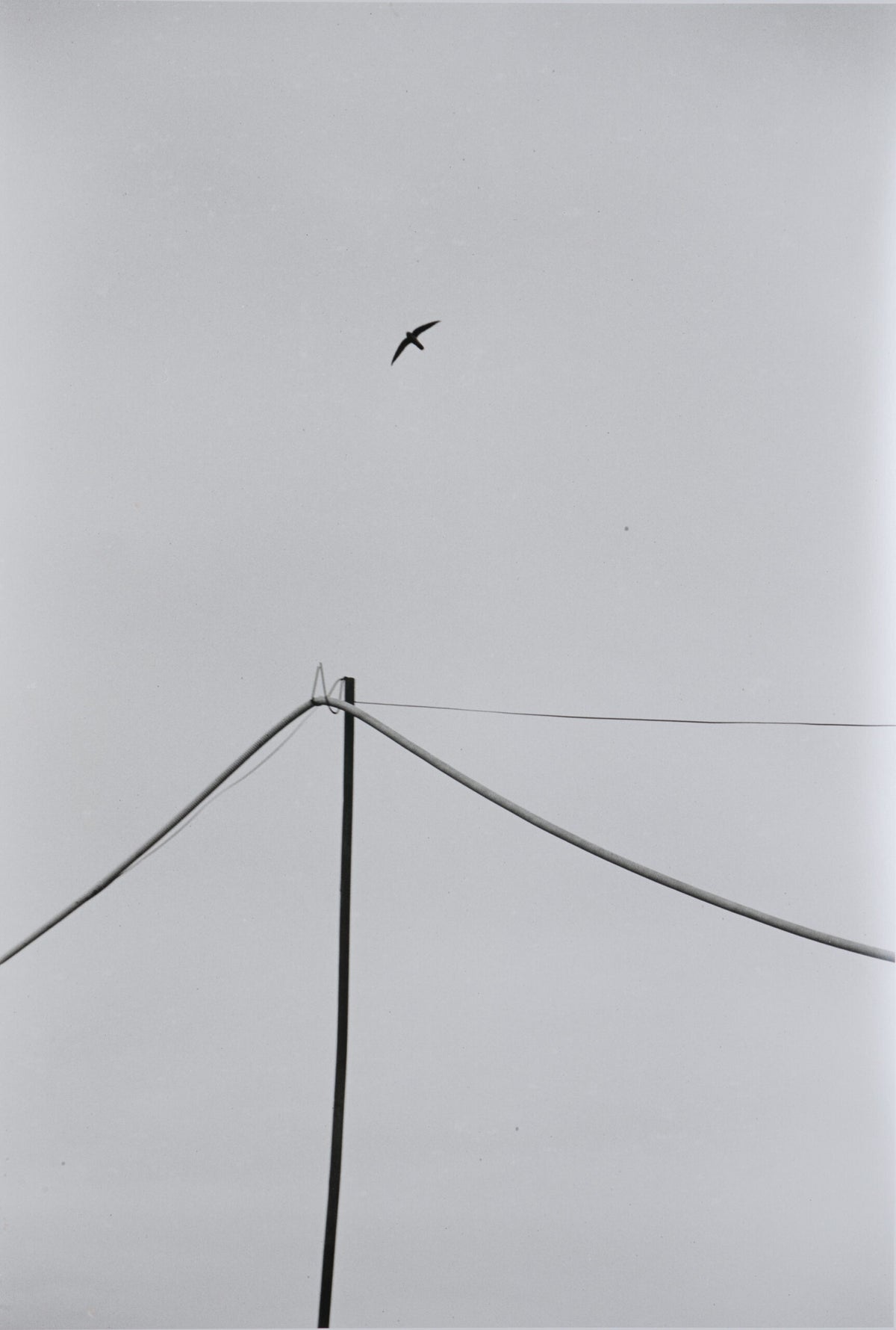 Open air