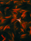 R-KOI