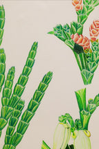 Calocedrus macrolepis Kurz. (Tô hạp bách)