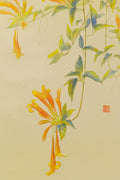 Day break (Triêu dương)