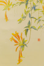 Day break (Triêu dương)