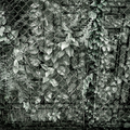 Escape